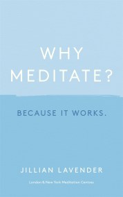 Why Meditate? Because it Works