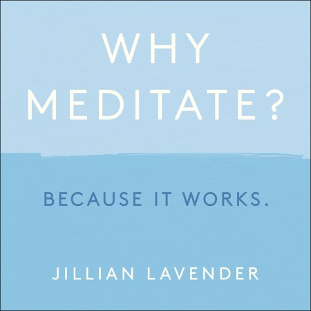 Why Meditate? Because it Works